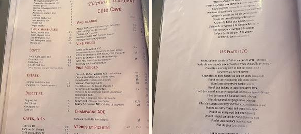 Éléphant d'argent - Gallery Image 7